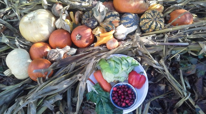 Food for Thought: What we eat and how we eat it