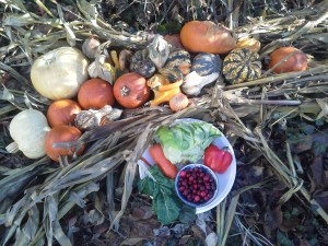 The Locavore Vegetarian, with a red pepper and some cranberries thrown in.